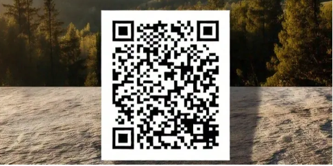 Scan Qr Code From Screenshot 